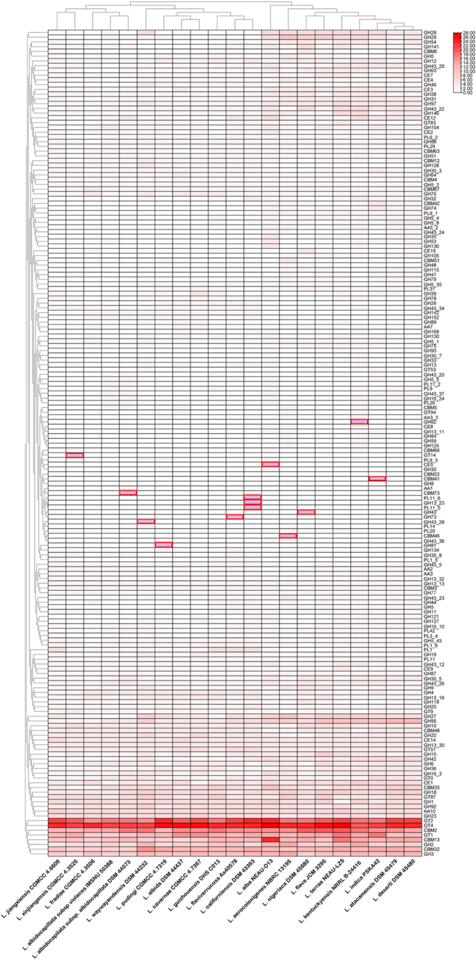 Comprehensive Genome Analysis Of Lentzea Reveals Repertoire Of Polymer Degrading Enzymes And Bioactive Compounds With Clinical Relevance Scientific Reports