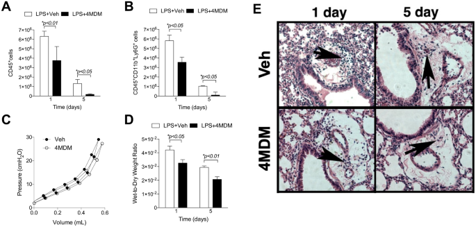 Substrate Dependent Modulation Of The Leukotriene Hydrolase Aminopeptidase Activity And Effect In A Murine Model Of Acute Lung Inflammation Scientific Reports