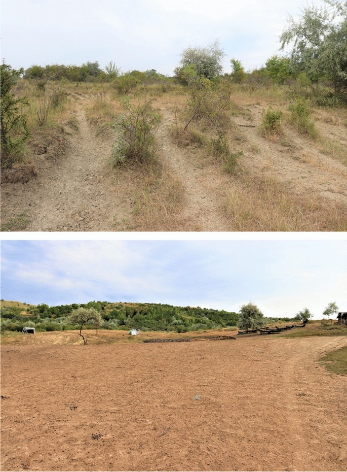 Land Degradation & Development, Environmental & Soil Science Journal