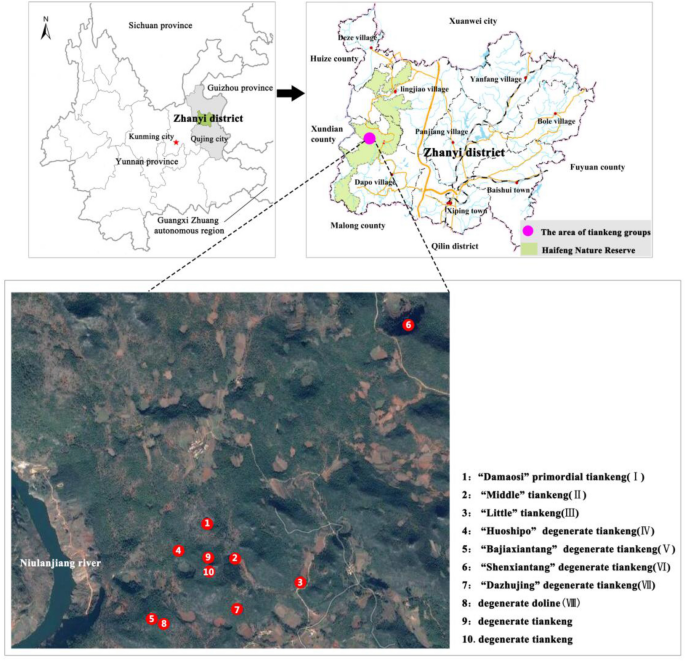 Original karst tiankeng with underground virgin forest as an inaccessible  refugia originated from a degraded surface flora in Yunnan, China |  Scientific Reports, image size:685x661