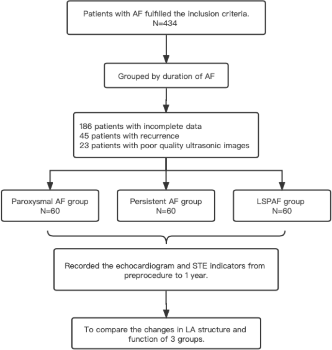 DR‐FLASH Score Is Useful for Identifying Patients With Persistent Atrial  Fibrillation Who Require Extensive Catheter Ablation Procedures