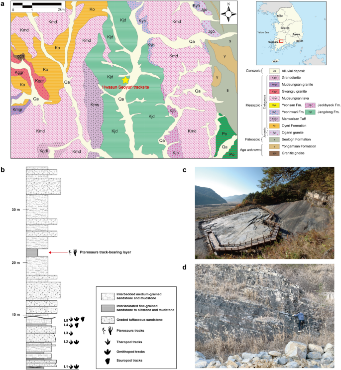 Size range of ten genera of pterosaurs used in this study with