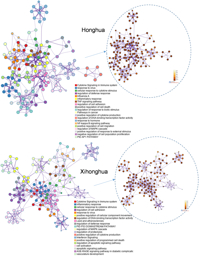 Malware analysis Depression.zip Malicious activity