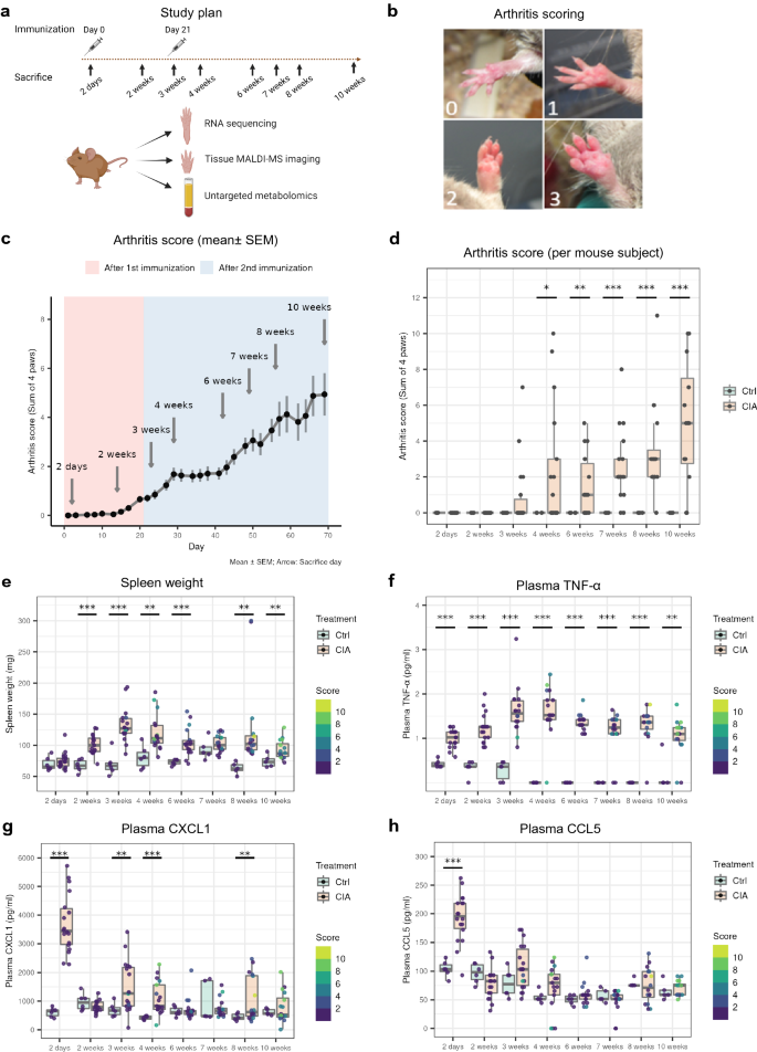 Personalized genetics of the cholinergic blockade of neuroinflammation -  Simchovitz - 2017 - Journal of Neurochemistry - Wiley Online Library