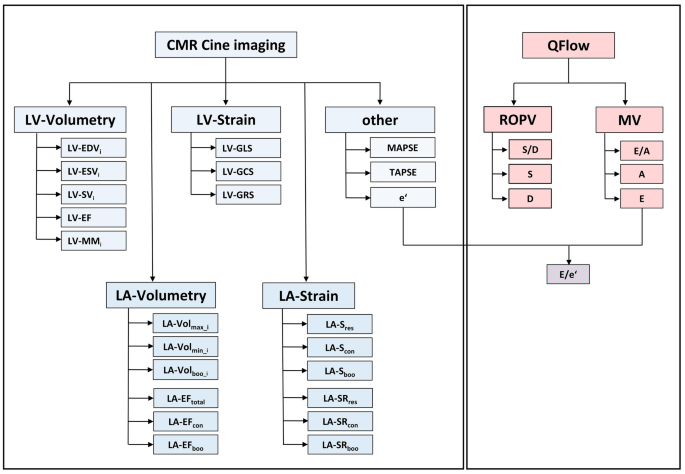 Reference centiles for left ventricular longitudinal global and