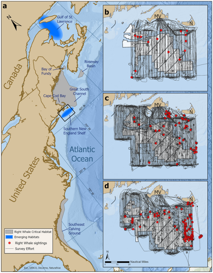 Seabed habitats of the Bay of Fundy, Atlantic Canada - ScienceDirect