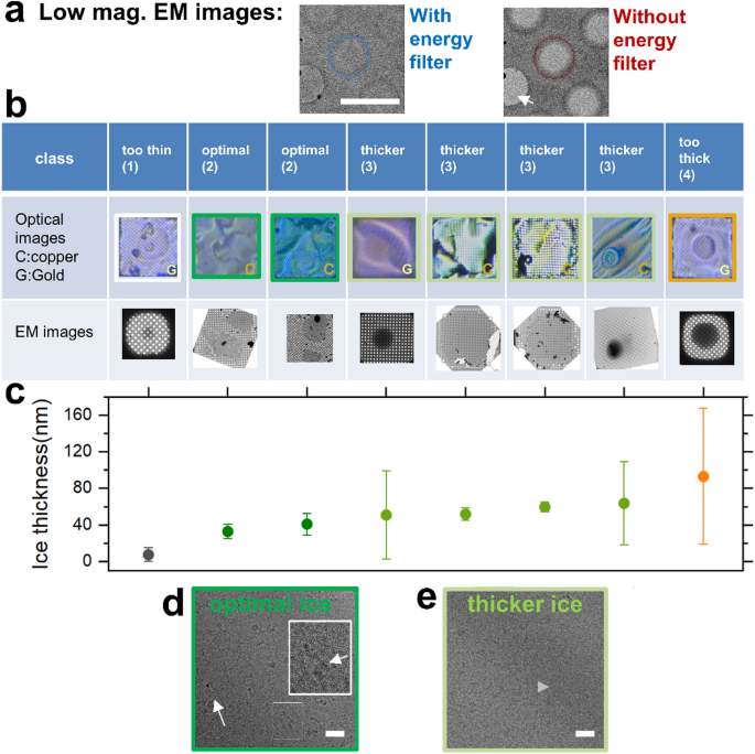 Ice thickness monitoring for cryo-EM grids by interferometry