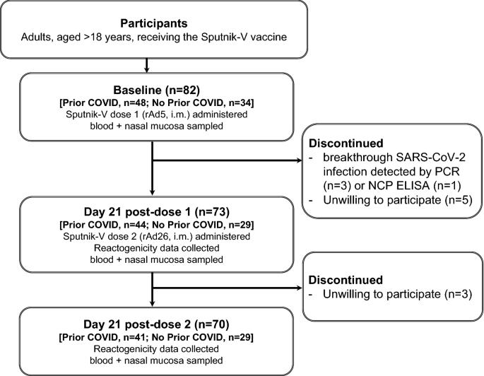 sputnik vaccine research paper figure 1