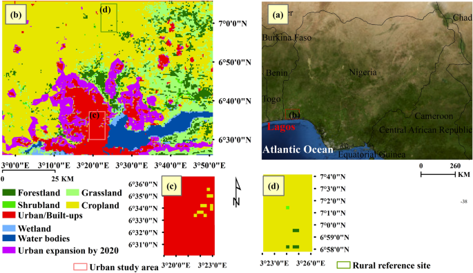 impact of urbanisation case study figure 1
