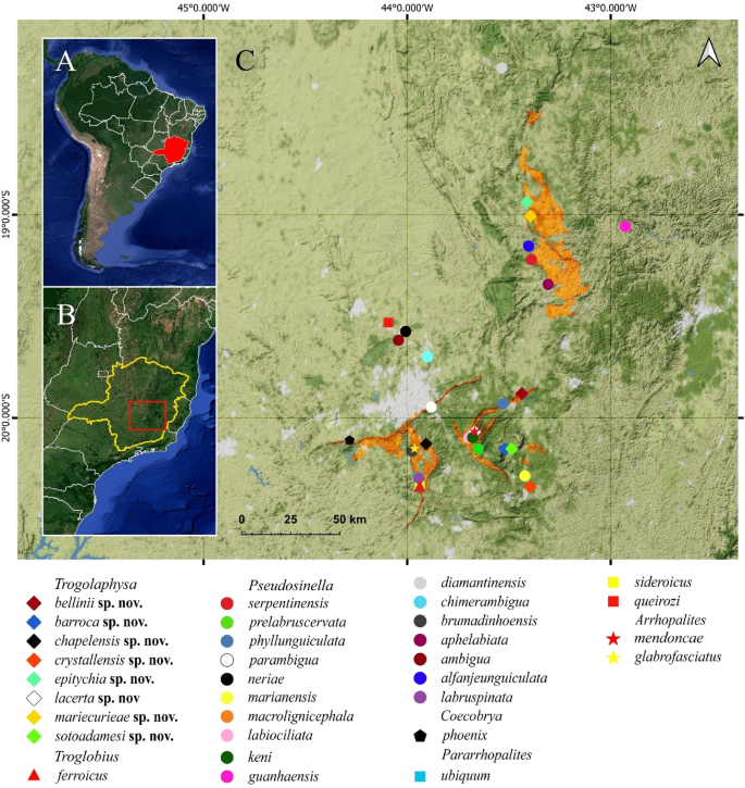 Hotspot in ferruginous rock may have serious implications in Brazilian  conservation policy