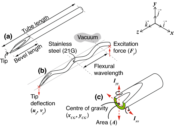 Needle bevel geometry influences the flexural deflection magnitude in