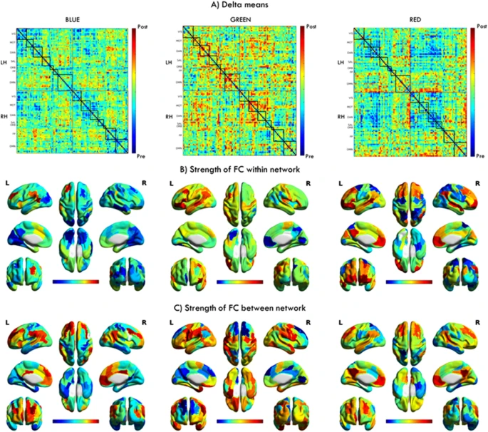 Imagen perteneciente al estudio publicada en scientific reports