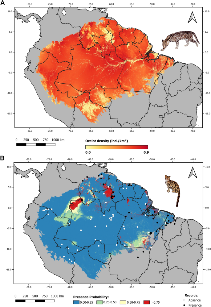 The dominant mesopredator and savanna formations shape the distribution of  the rare northern tiger cat (Leopardus tigrinus) in the Amazon | Scientific  Reports