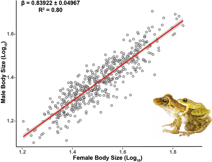 Ecological and evolutionary trends of body size in Pristimantis