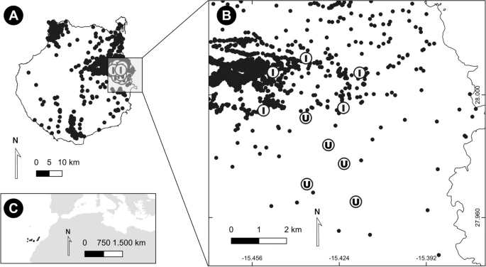 https://media.springernature.com/lw685/springer-static/image/art%3A10.1038%2Fs41598-022-22583-5/MediaObjects/41598_2022_22583_Fig1_HTML.png?as=webp
