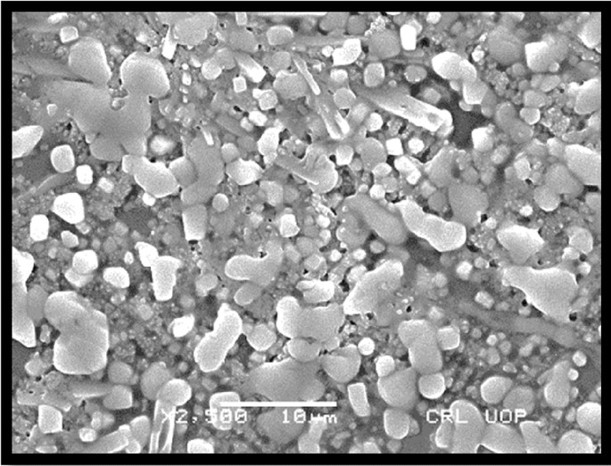 transfersomes research articles pdf figure 6