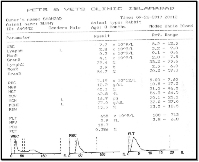 transfersomes research articles pdf figure a