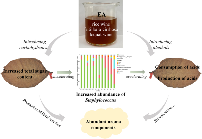 Study on the chemical compositions and microbial communities of cigar  tobacco leaves fermented with exogenous additive