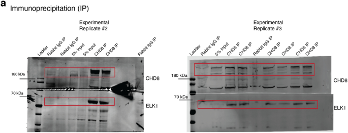 figure 23