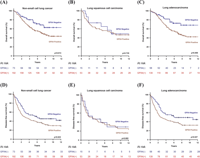 glutathione and small cell lung cancer Glutathione peroxidase 4 expression predicts poor overall survival in  patients with resected lung adenocarcinoma