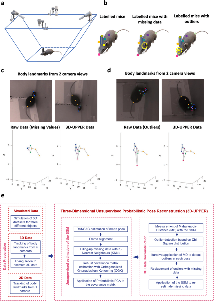 Three-dimensional unsupervised probabilistic pose reconstruction (3D-UPPER)  for freely moving animals