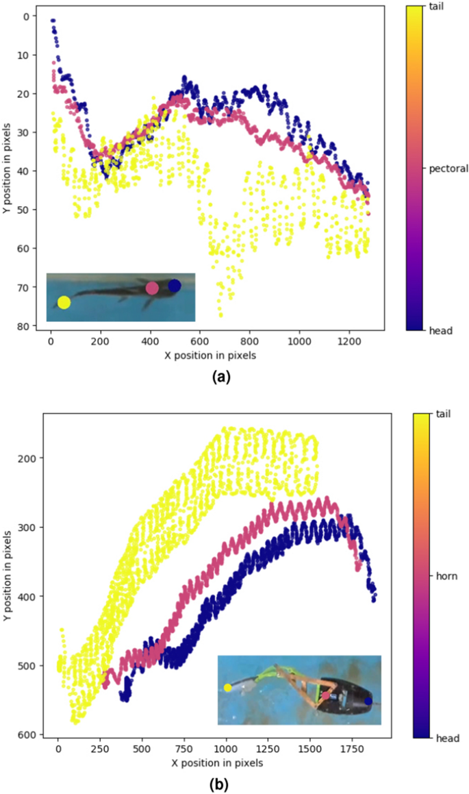 robotic fish experiment figure 3