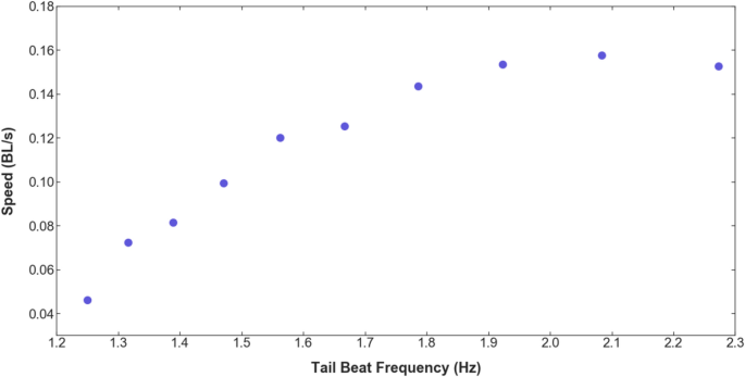 robotic fish experiment figure 5