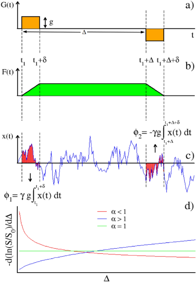 A new perspective of molecular diffusion by nuclear magnetic 