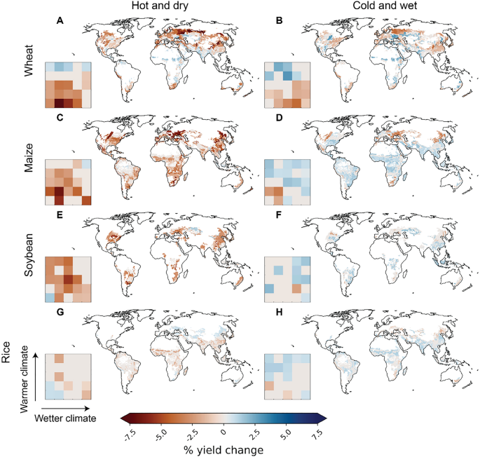 A relação entre as anomalias de rendimento da cultura (%) e as condições quentes-secas e frias-úmidas concomitantes durante a estação de crescimento para cada compartimento climático