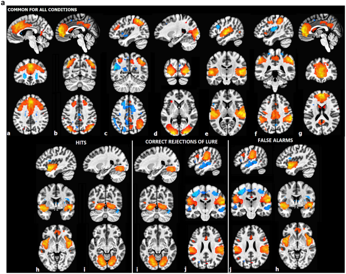 working memory research studies figure 2