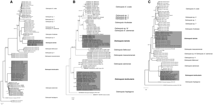 figure 14