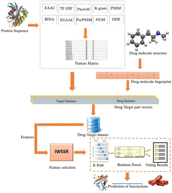 scientific method paper introduction figure 1