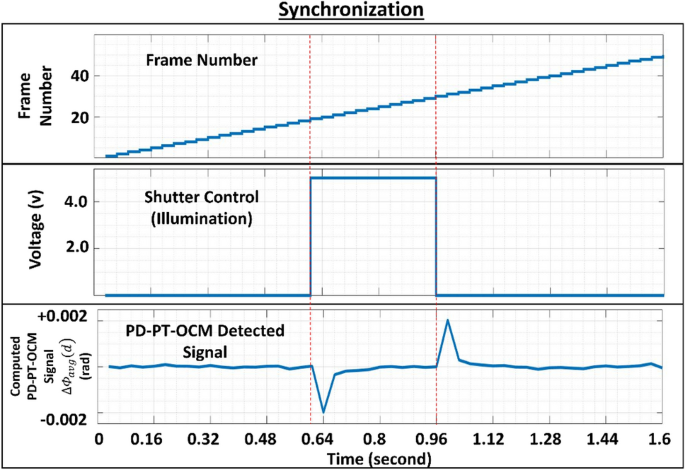 scientific research report sample figure 1