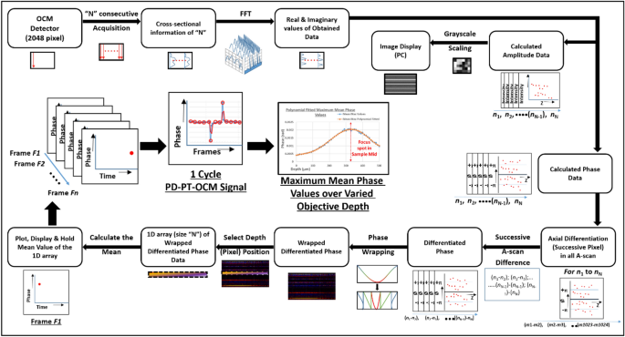 scientific research report sample figure 2