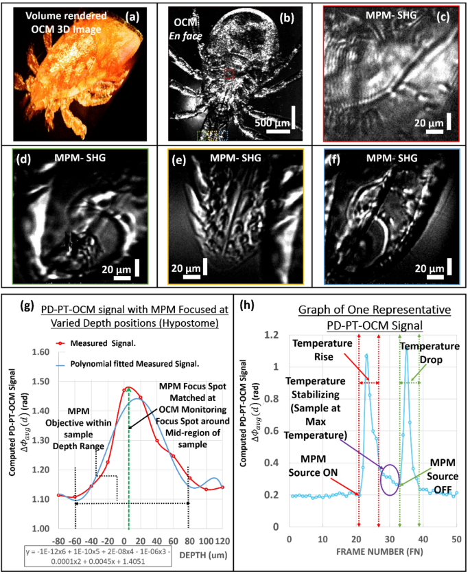 scientific research report sample figure 5