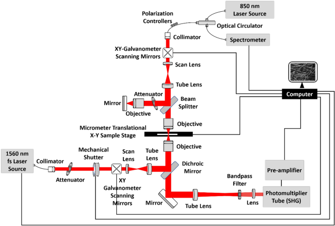 scientific research report sample figure 6