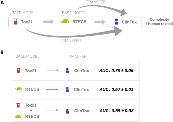 Machine Learning Toxicity Prediction: Latest Advances by Toxicity