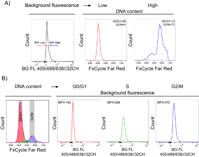 Variability of fluorescence intensity measured by flow cytometry is influenced by cell size and cell progression | Scientific Reports