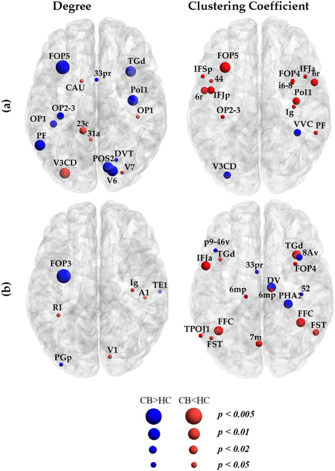 Altered brain structural and functional connectivity in cannabis users