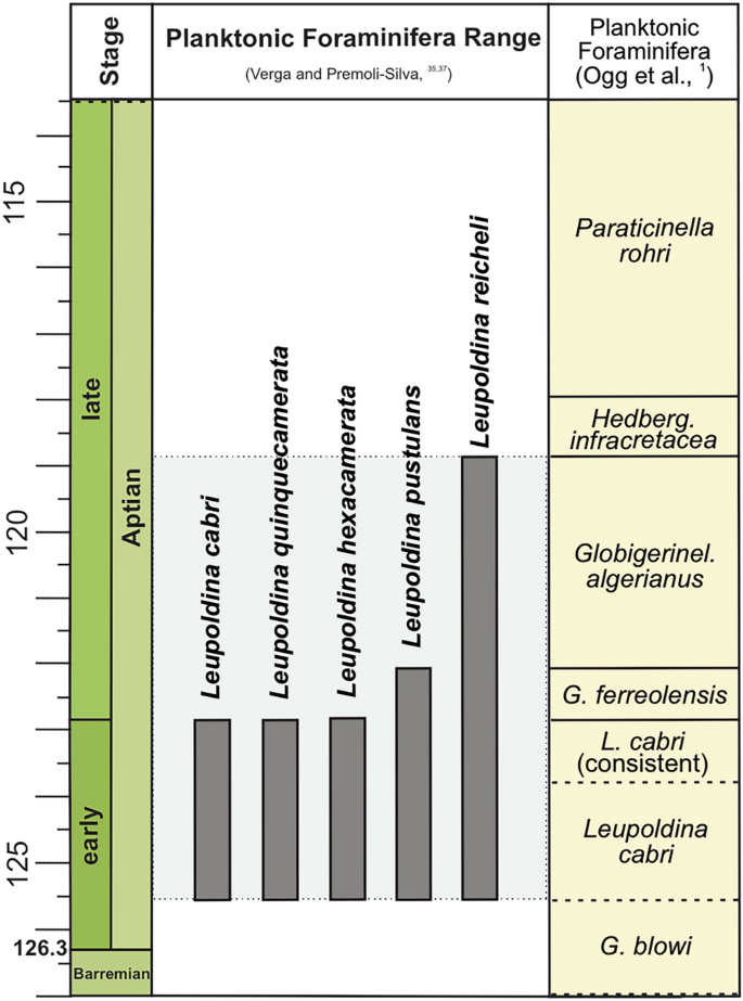 Early Aptian marine incursions in the interior of northeastern Brazil  following the Gondwana breakup