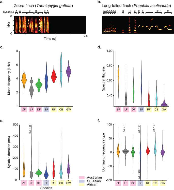 detailed spectrogram of songbird call showing frequency modulation with bright yellow patterns