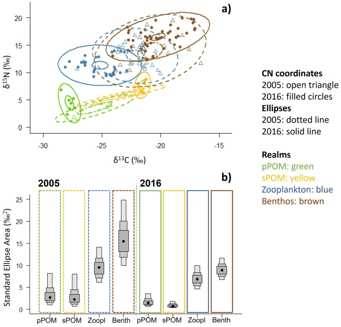 Reduced efficiency of pelagic–benthic coupling in the Arctic deep sea during lower ice cover