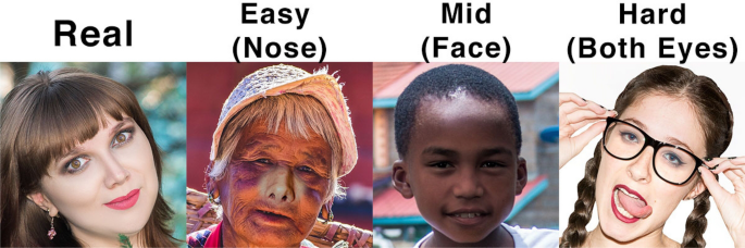 research paper on deepfake figure 8