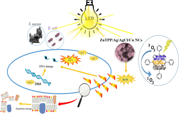 figure 17