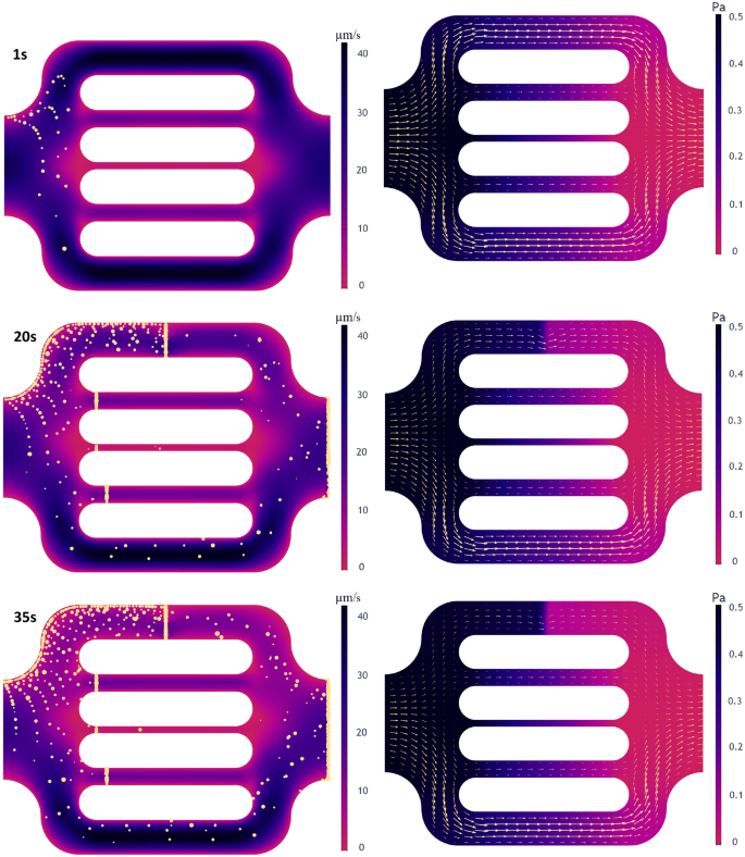 Experimental and numerical investigation of polymer pore-clogging in  micromodels