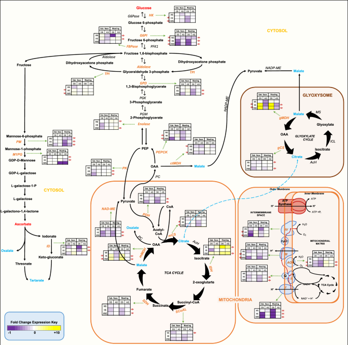 heat stress phd thesis figure 3