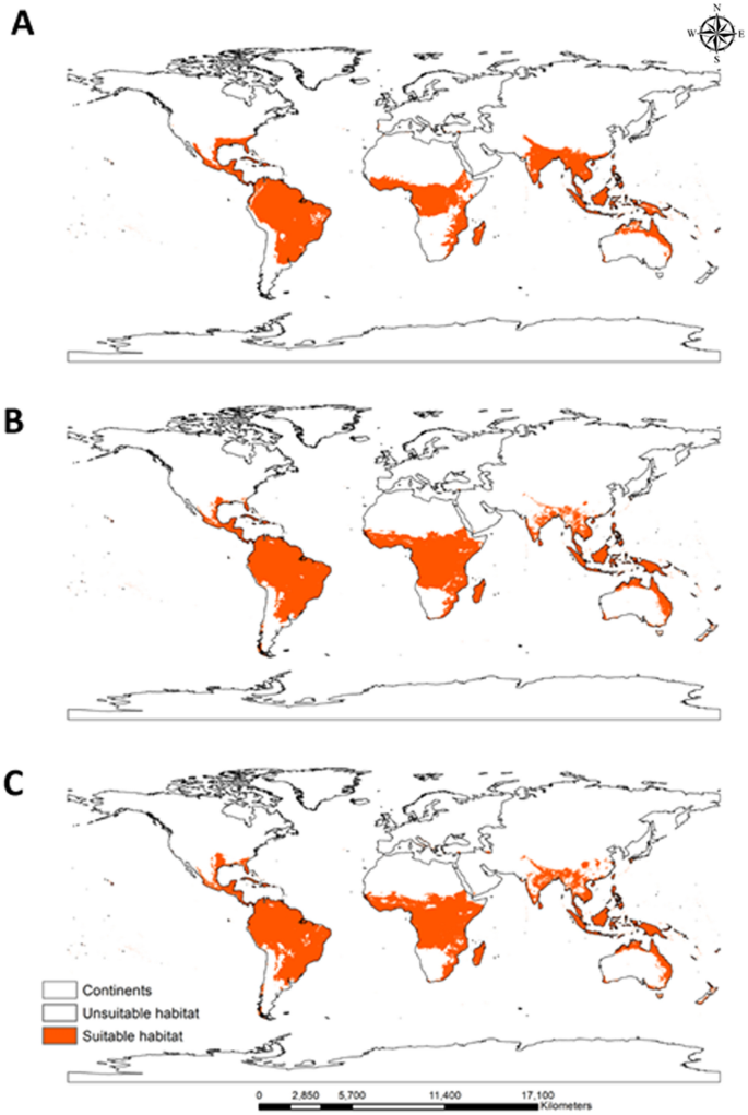 PDF) Mapping the spatial distribution of the invasive Mexican