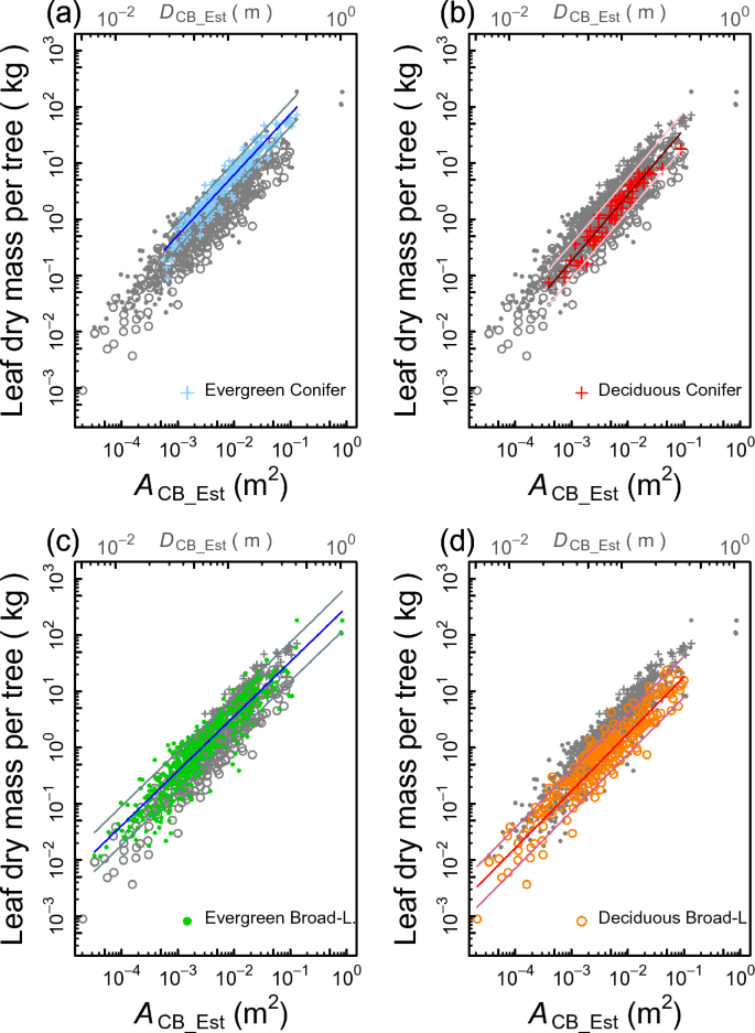 The global biogeography of tree leaf form and habit