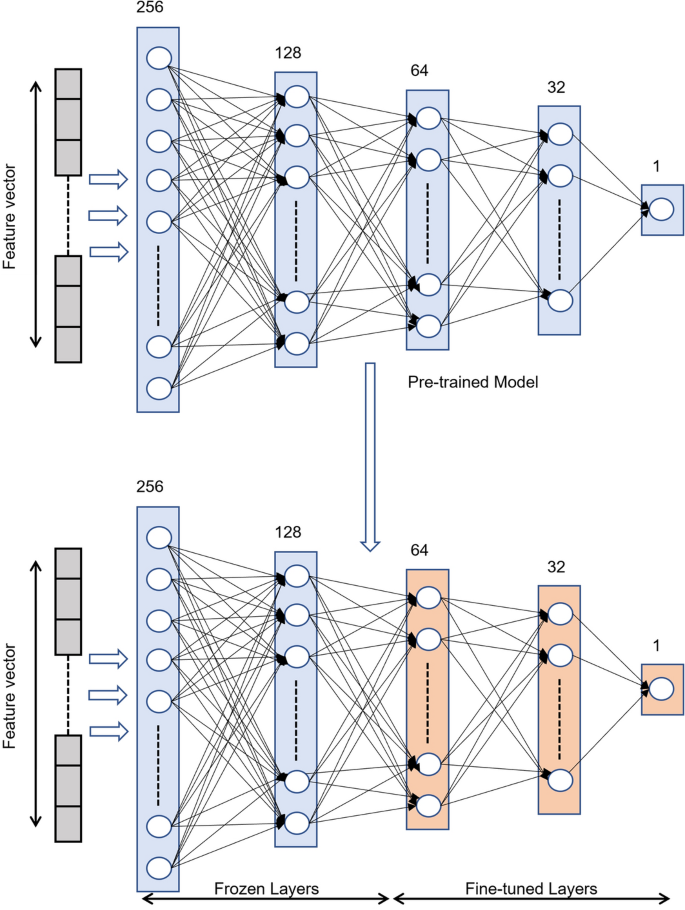 phishing research report figure 5
