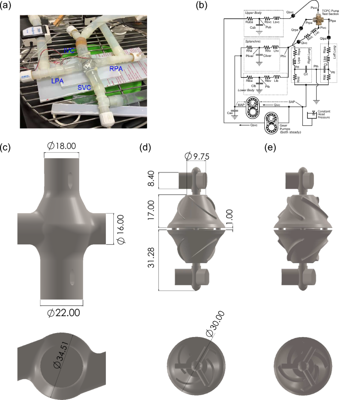 Passive performance evaluation and validation of a viscous impeller pump  for subpulmonary fontan circulatory support | Scientific Reports